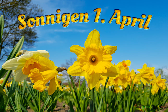 Sonnigen 1 April