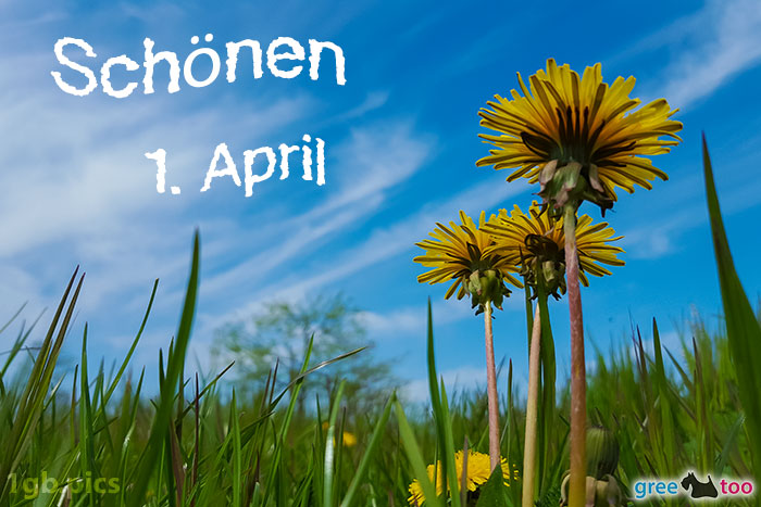 Loewenzahn Himmel Schoenen 1 April Bild - 1gb.pics