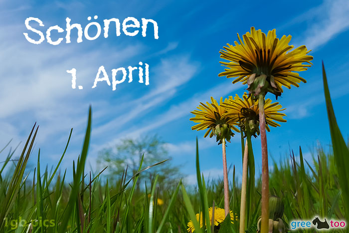 Loewenzahn Himmel Schoenen 1 April