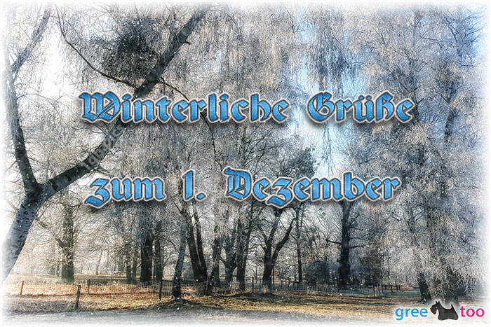 Zum 1 Dezember