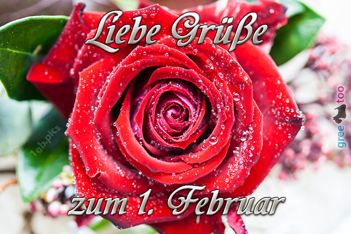 Zum 1 Februar