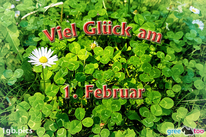 1. Februar von 1gbpics.com