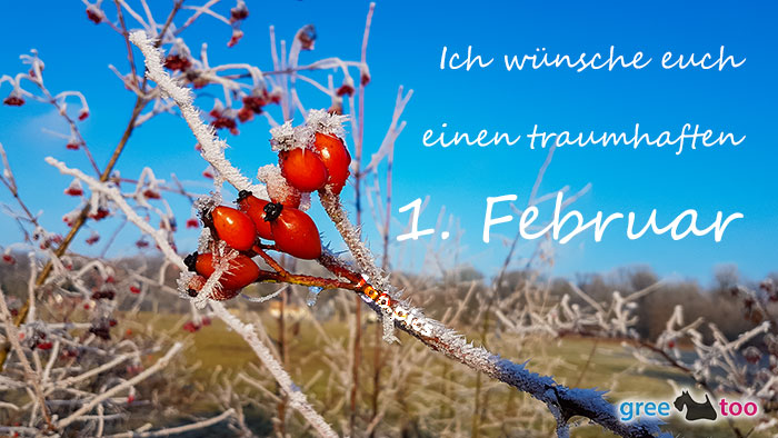 Einen Traumhaften 1 Februar