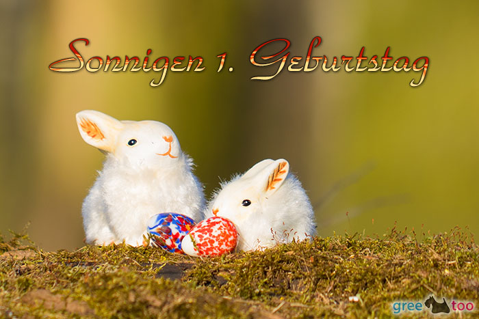 Sonnigen 1 Geburtstag