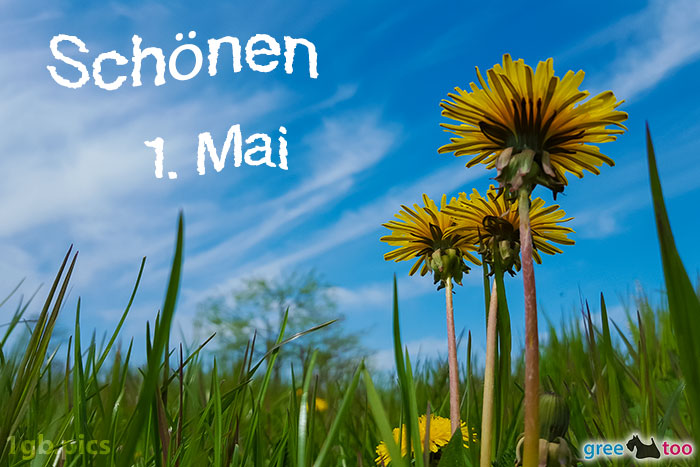 Loewenzahn Himmel Schoenen 1 Mai