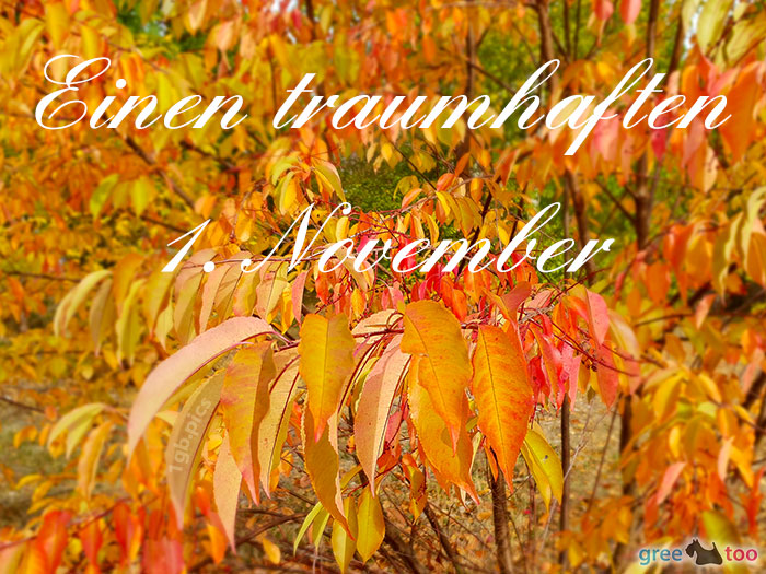 Einen Traumhaften 1 November