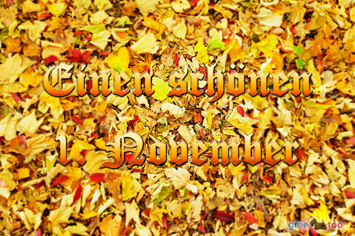 1. November von 1gbpics.com