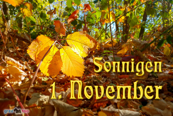 1. November von 1gbpics.com