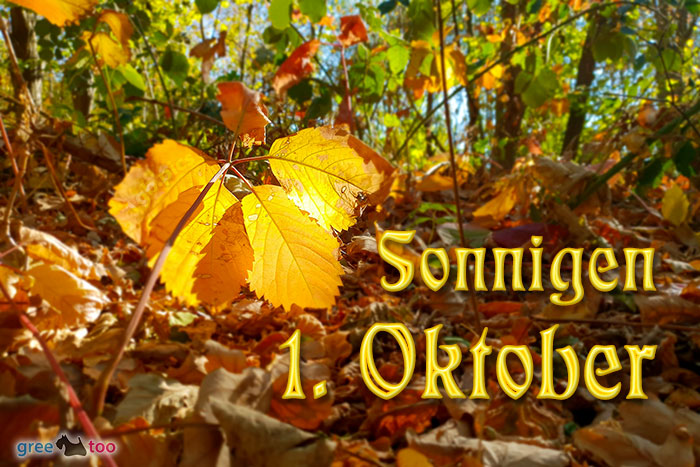 Sonnigen 1 Oktober