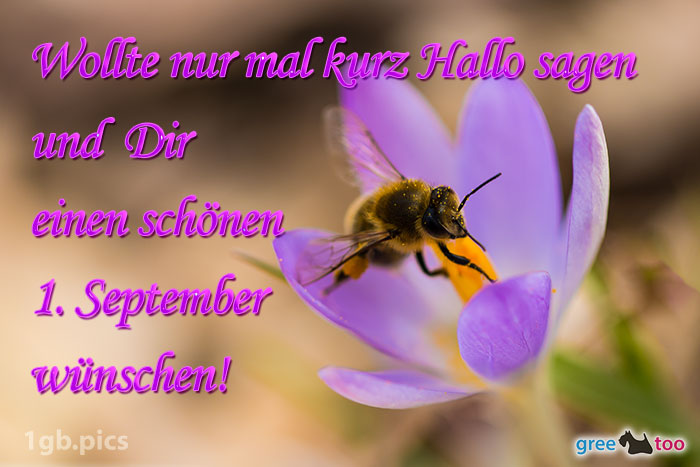 1. September von 1gbpics.com