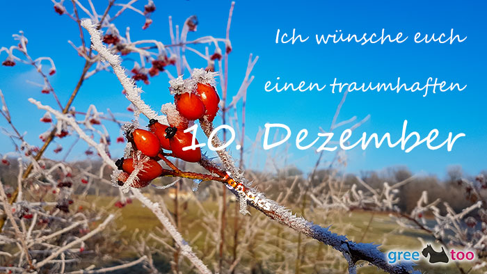 10. Dezember von 1gbpics.com