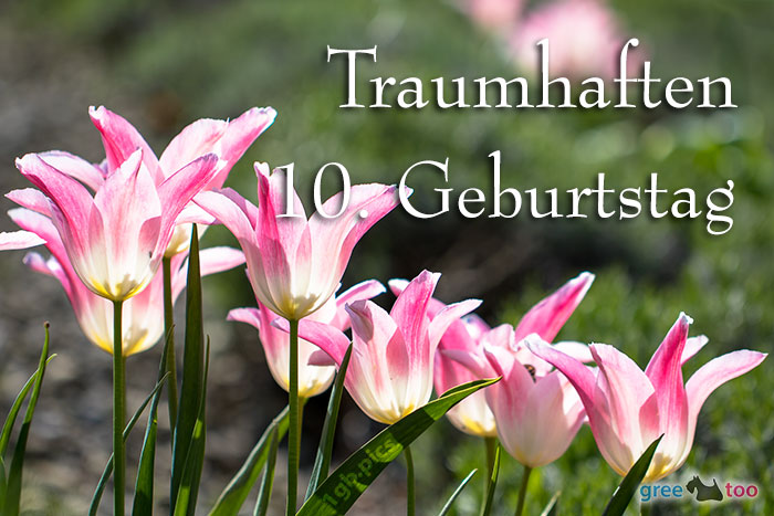 Traumhaften 10 Geburtstag