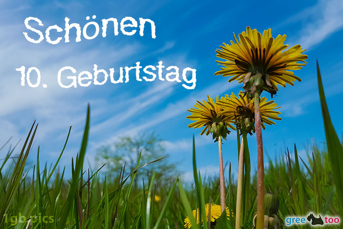 10. Geburtstag von 1gbpics.com