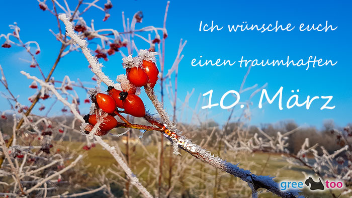 Einen Traumhaften 10 Maerz