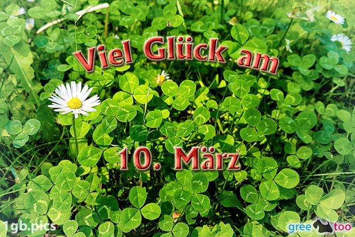 10. März von 1gbpics.com