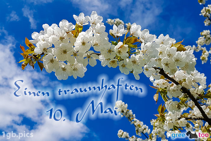 10. Mai von 1gbpics.com