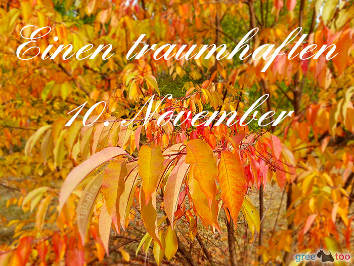 Einen Traumhaften 10 November