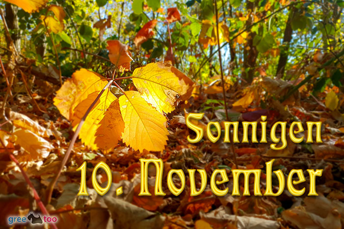 Sonnigen 10 November