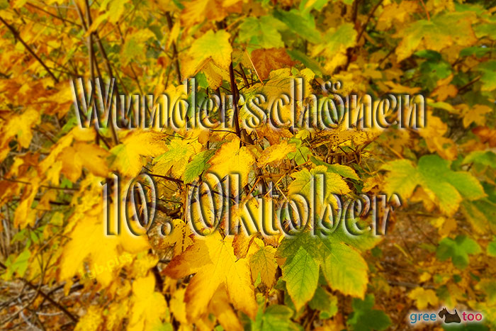 10. Oktober von 1gbpics.com