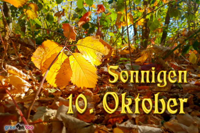 Sonnigen 10 Oktober