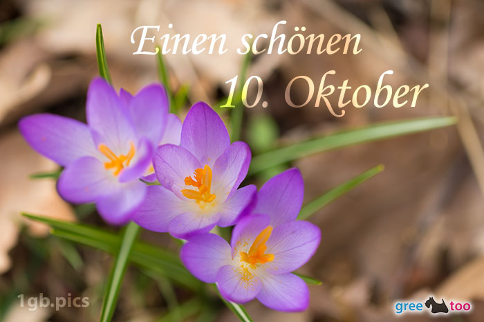 10. Oktober von 1gbpics.com