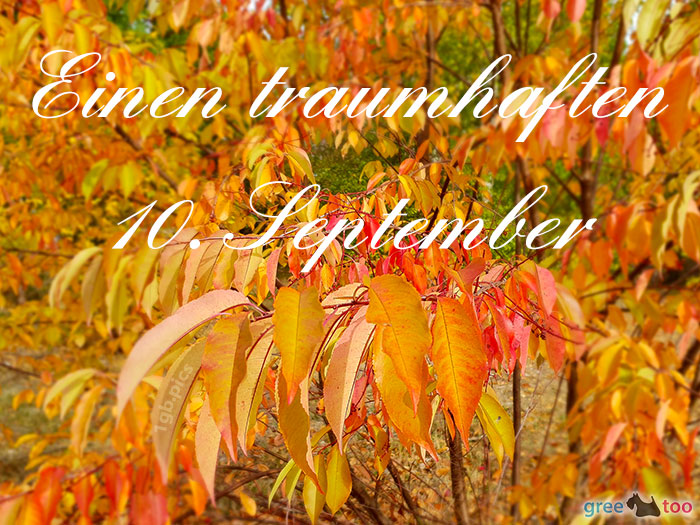 Einen Traumhaften 10 September