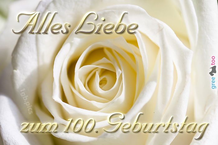 100. Geburtstag von 1gbpics.com