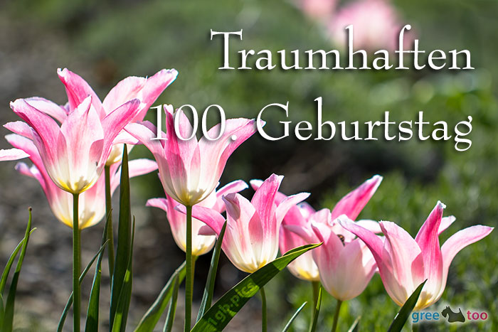 Traumhaften 100 Geburtstag