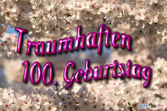 100. Geburtstag von 1gbpics.com