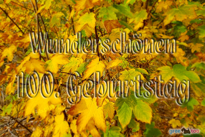 Wunderschoenen 100 Geburtstag