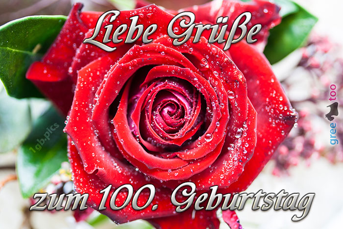 100. Geburtstag von 1gbpics.com