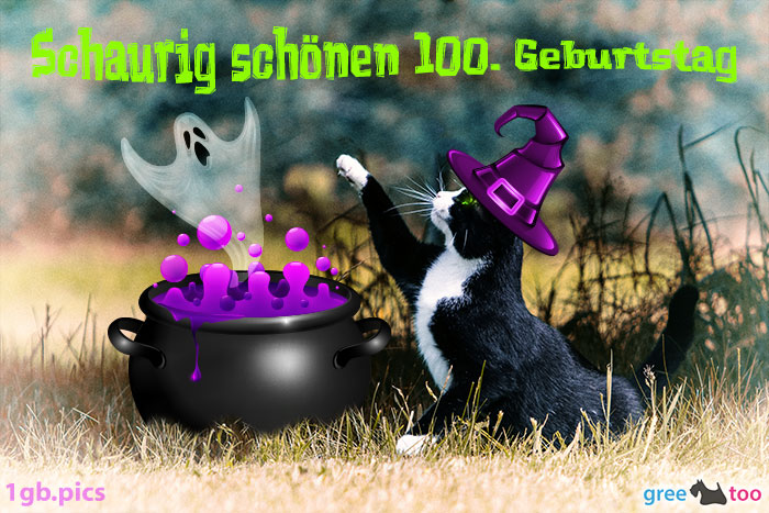 Katze Schaurig Schoenen 100 Geburtstag