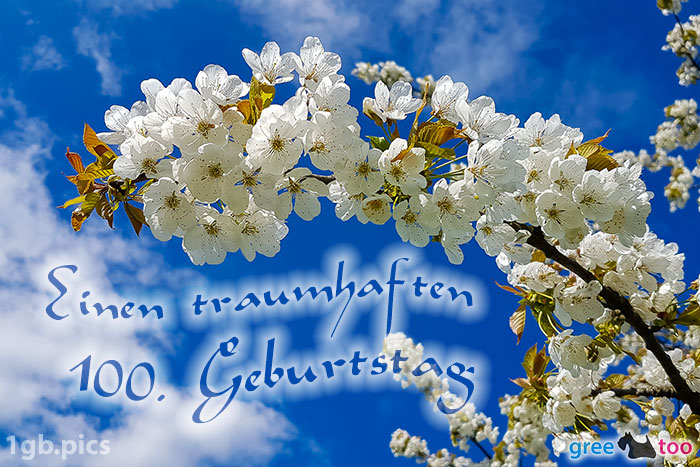 100. Geburtstag von 1gbpics.com