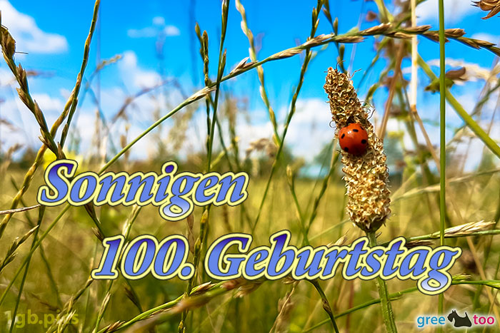 Marienkaefer Sonnigen 100 Geburtstag