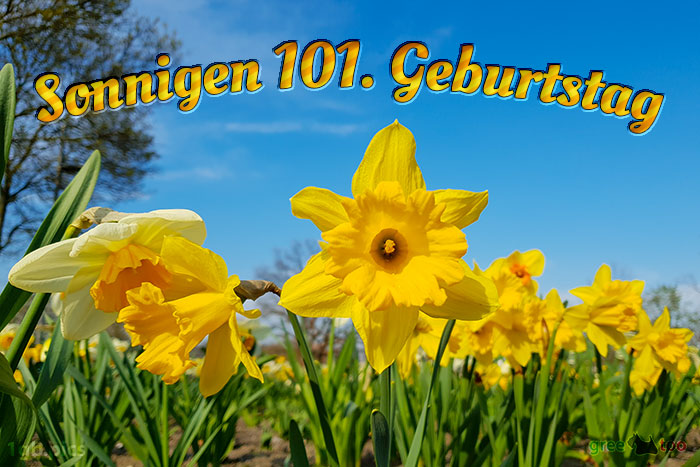 Sonnigen 101 Geburtstag