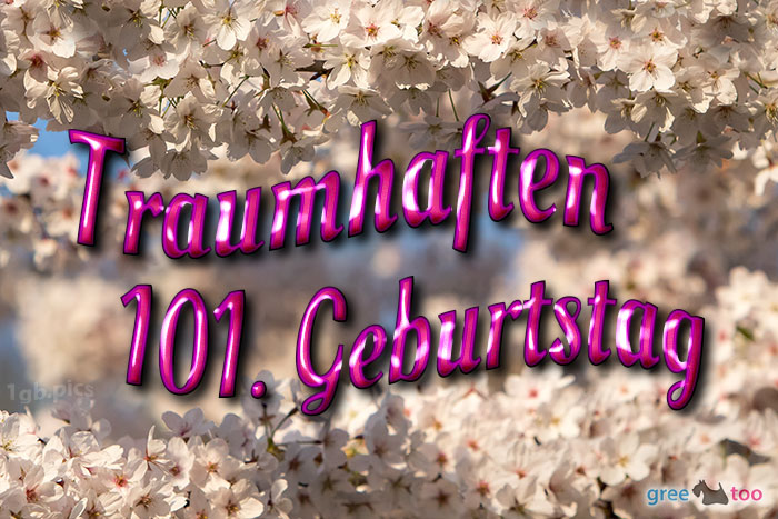 101. Geburtstag von 1gbpics.com