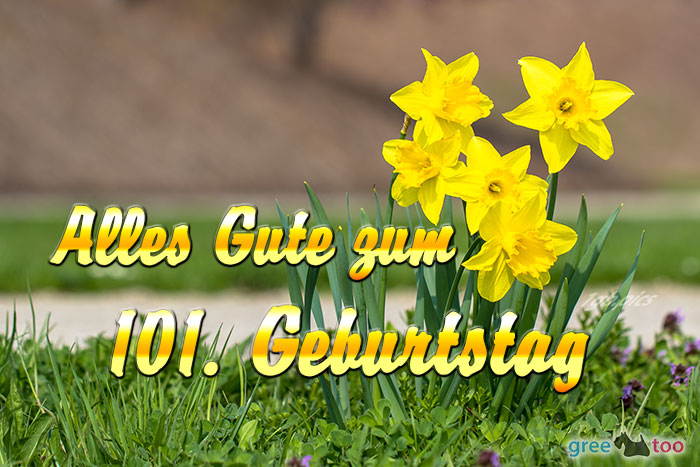 101. Geburtstag von 1gbpics.com