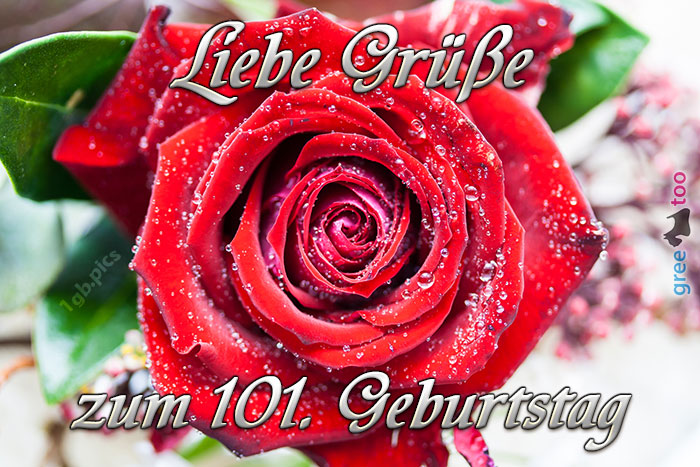 101. Geburtstag von 1gbpics.com