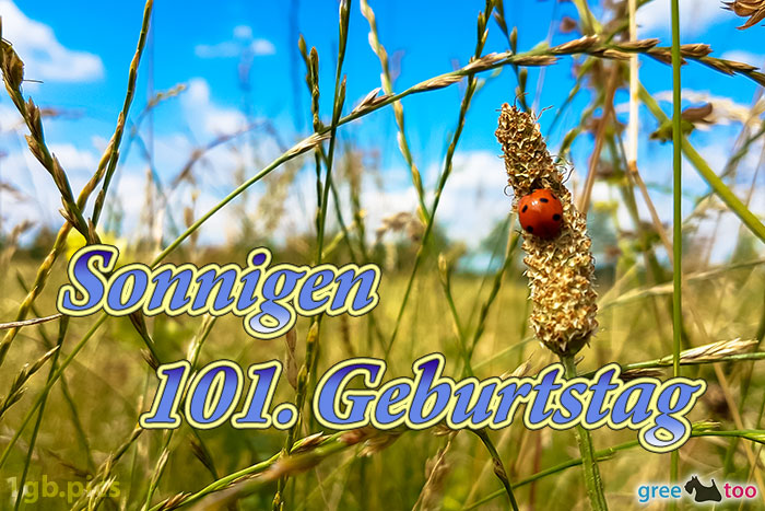 101. Geburtstag von 1gbpics.com