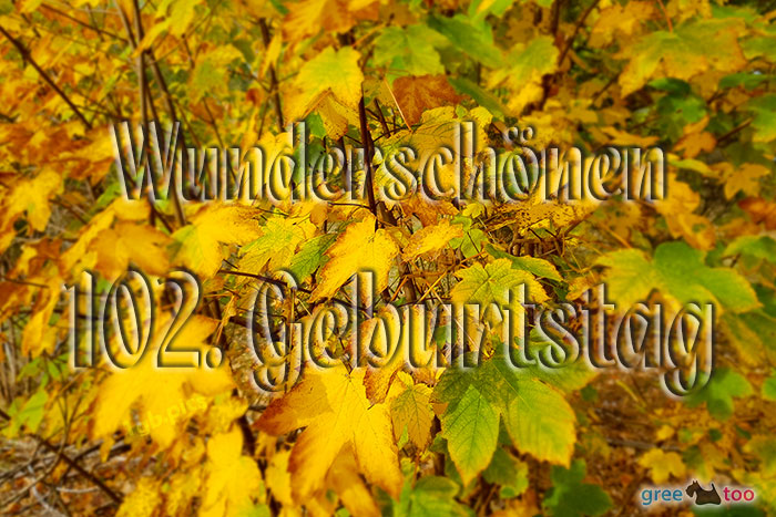 Wunderschoenen 102 Geburtstag