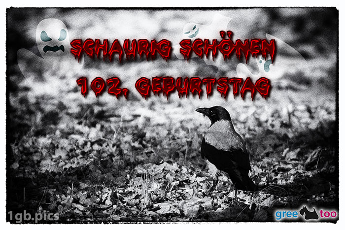 Kraehe Schaurig Schoenen 102 Geburtstag Bild - 1gb.pics