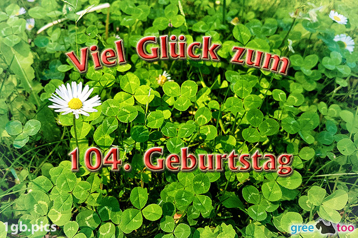 Klee Gaensebluemchen Viel Glueck Zum 104 Geburtstag