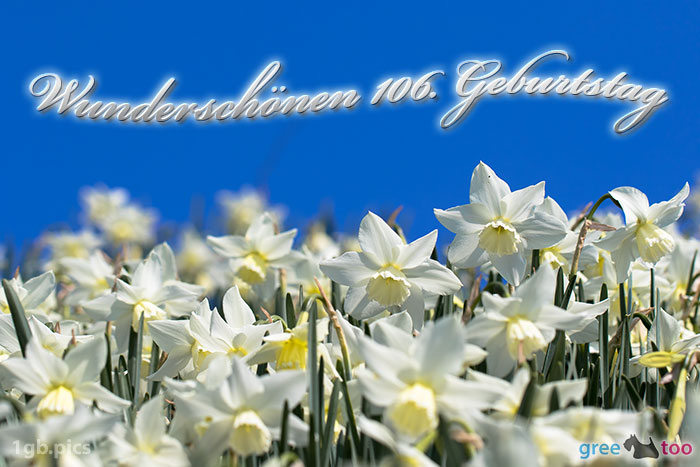 Wunderschoenen 106 Geburtstag