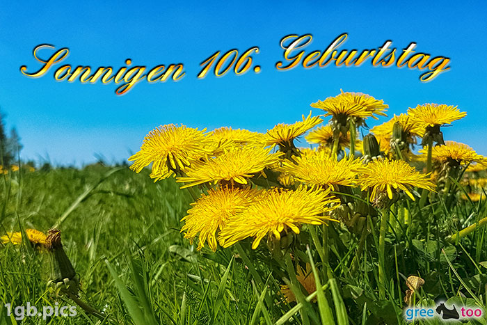 Loewenzahn Sonnigen 106 Geburtstag