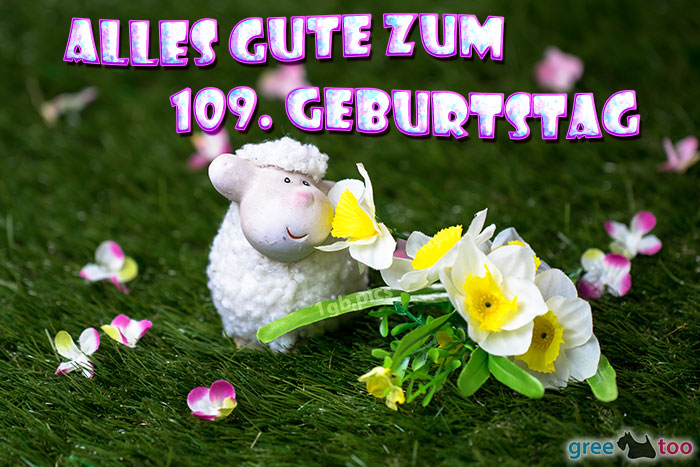 Alles Gute 109 Geburtstag Bild - 1gb.pics