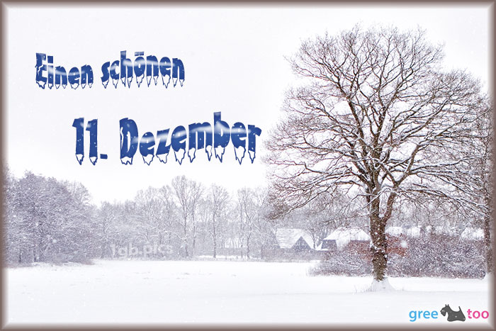 Einen Schoenen 11 Dezember