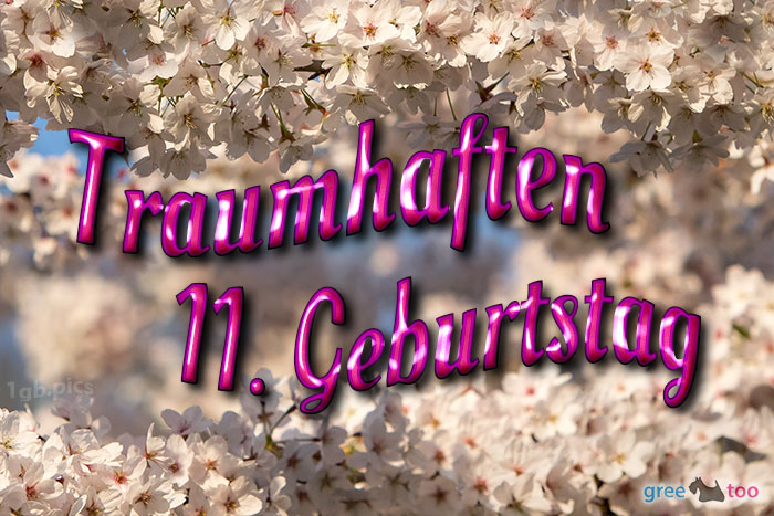 Traumhaften 11 Geburtstag