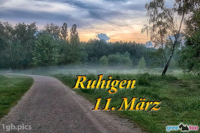 Nebel Ruhigen 11 Maerz