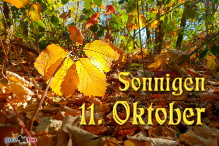 Sonnigen 11 Oktober