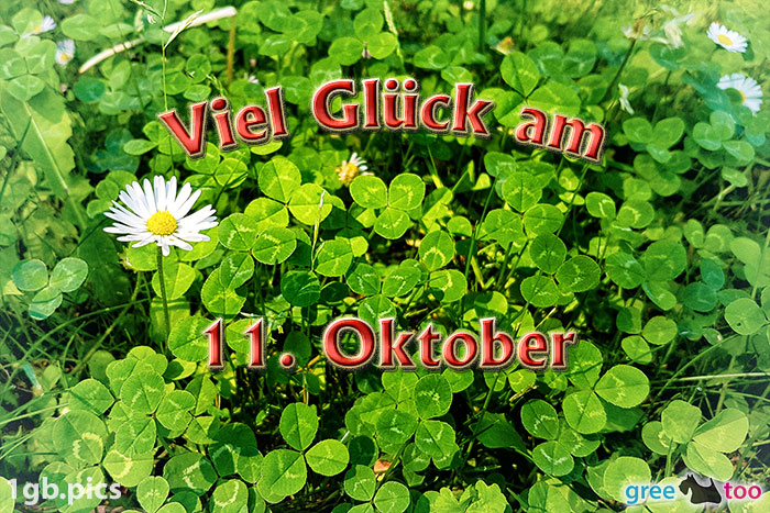 11. Oktober von 1gbpics.com